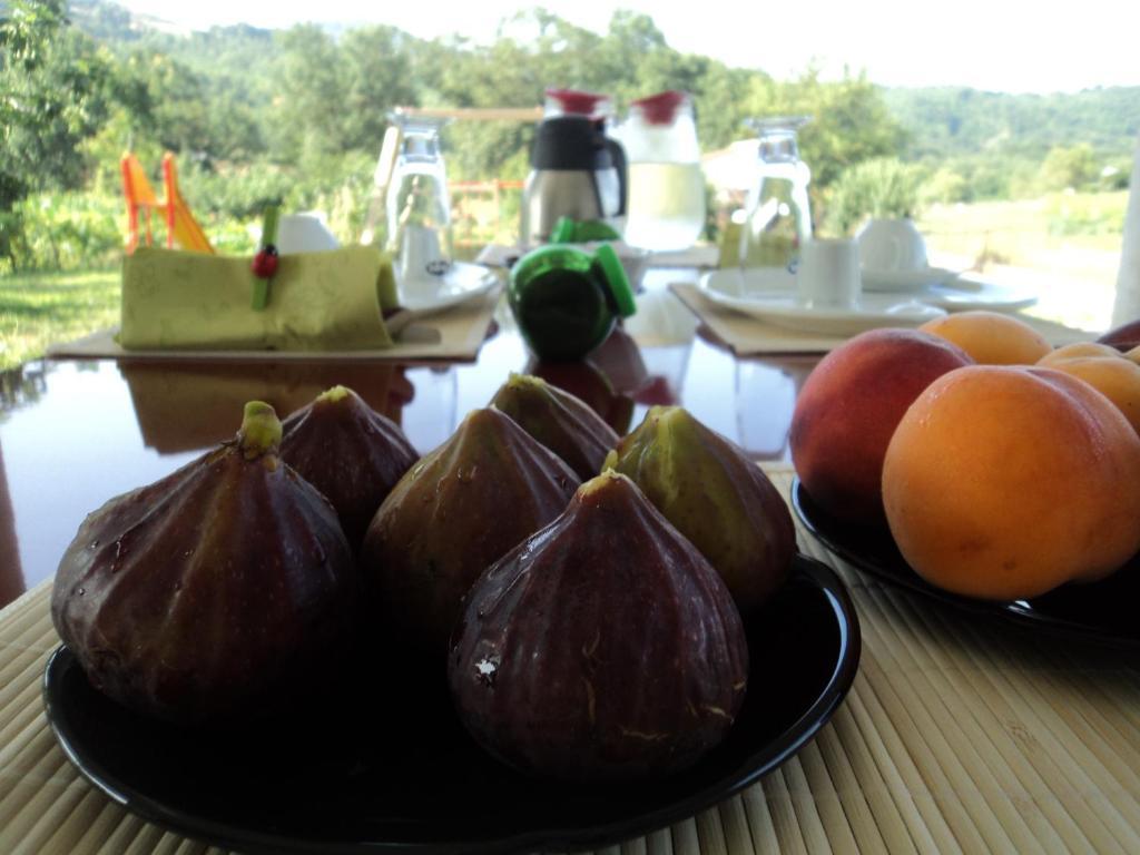 B&B Casa Vacanza Verzellino San Gregorio Magno Eksteriør billede